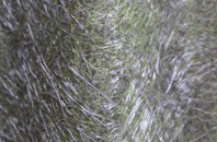 Bourton On Dunsmore fibreglass roof work